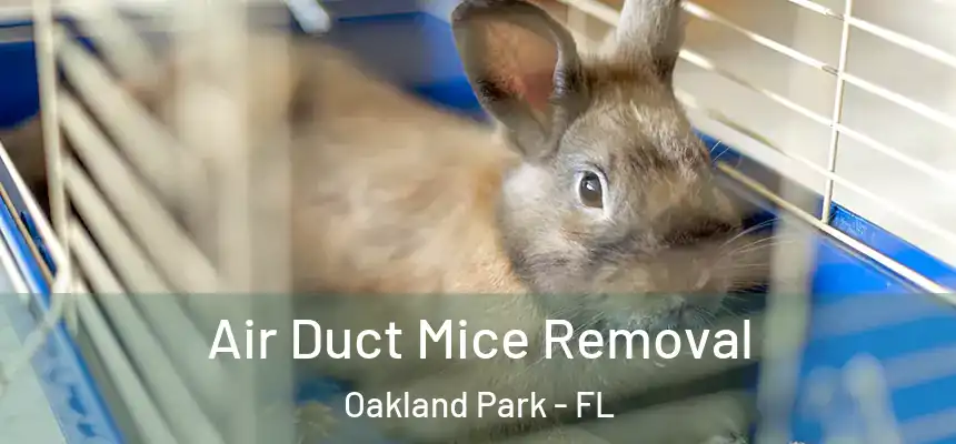  Air Duct Mice Removal Oakland Park - FL