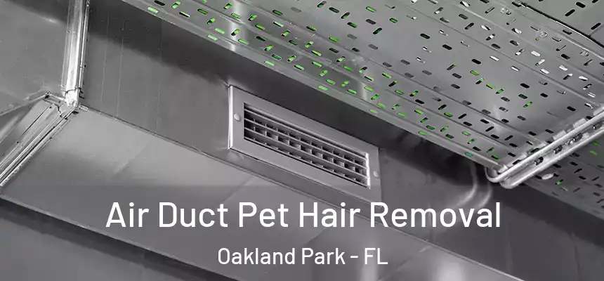 Air Duct Pet Hair Removal Oakland Park - FL