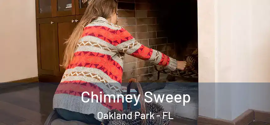  Chimney Sweep Oakland Park - FL
