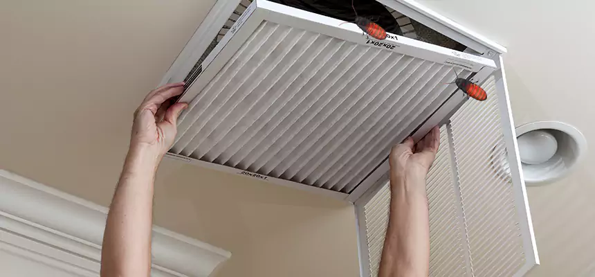 Preventive Cockroach-Proofing for Ducts in Oakland Park