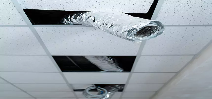 Our Air Duct Pet Hair Removal Services in Oakland Park, FL