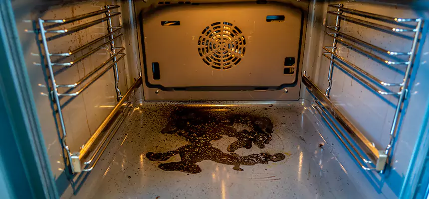 Our Dryer Vent Mold Cleaning Services in Oakland Park, FL