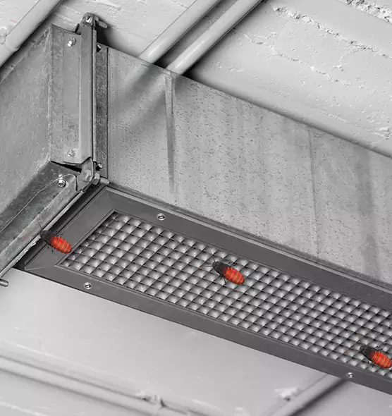 About Air Duct Cockroach Removal in Oakland Park, FL