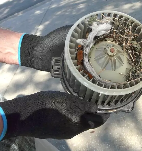 About Air Duct Mice Removal in Oakland Park, FL