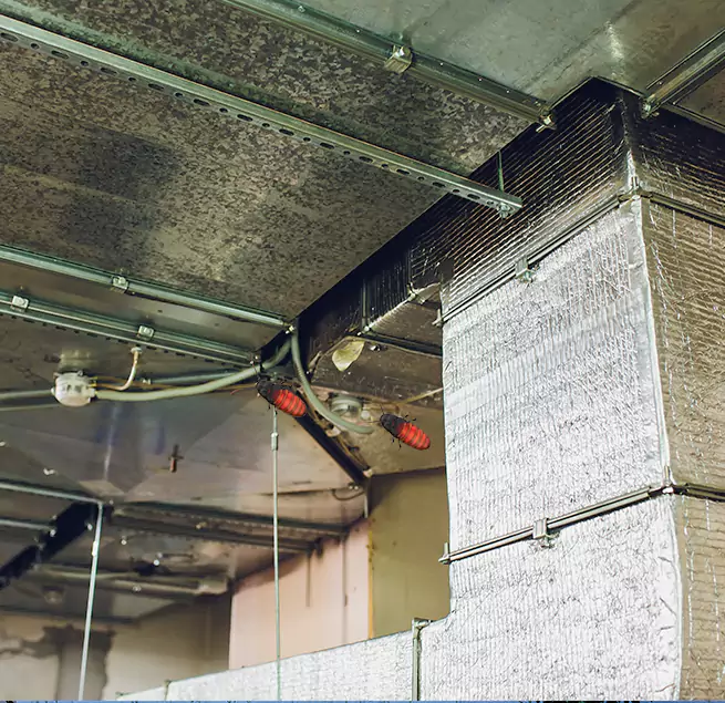 Why Homeowners & Businesses Trust Us in Oakland Park, FL?