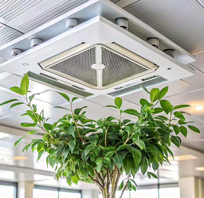 Why Homeowners & Businesses Trust Us in Oakland Park, FL?